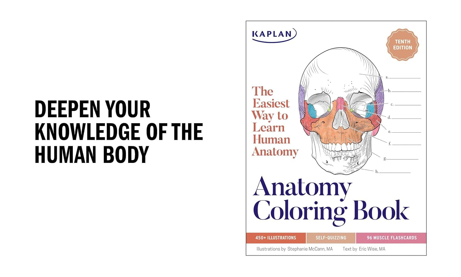 Anatomy Coloring Book with 450+ Realistic Medical Illustrations with Quizzes for Each (Kaplan Test Prep)