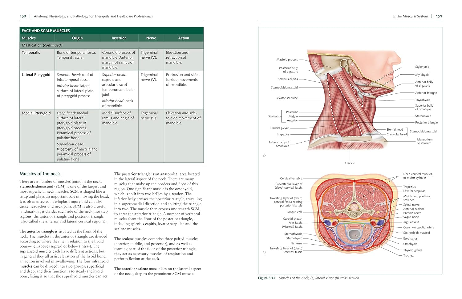 Anatomy, Physiology, and Pathology, Third Edition: a Practical, Illustrated Guide to the Human Body for Students and Practitioners--Clear and Accessible, with Study Tips and Full-Color Visual Aids