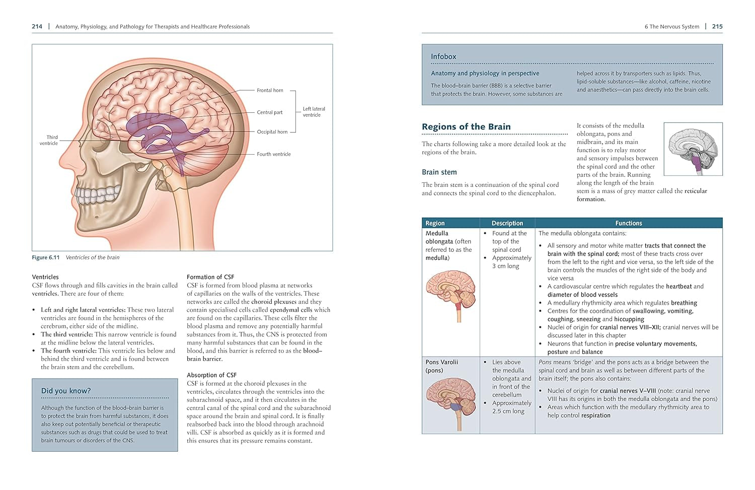 Anatomy, Physiology, and Pathology, Third Edition: a Practical, Illustrated Guide to the Human Body for Students and Practitioners--Clear and Accessible, with Study Tips and Full-Color Visual Aids