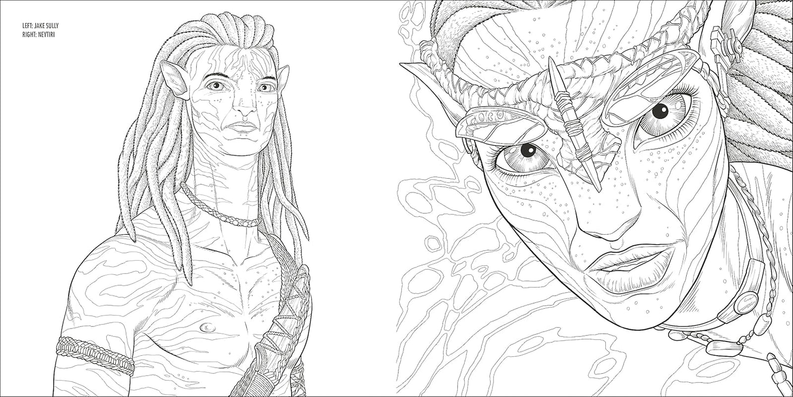 Avatar Coloring Book