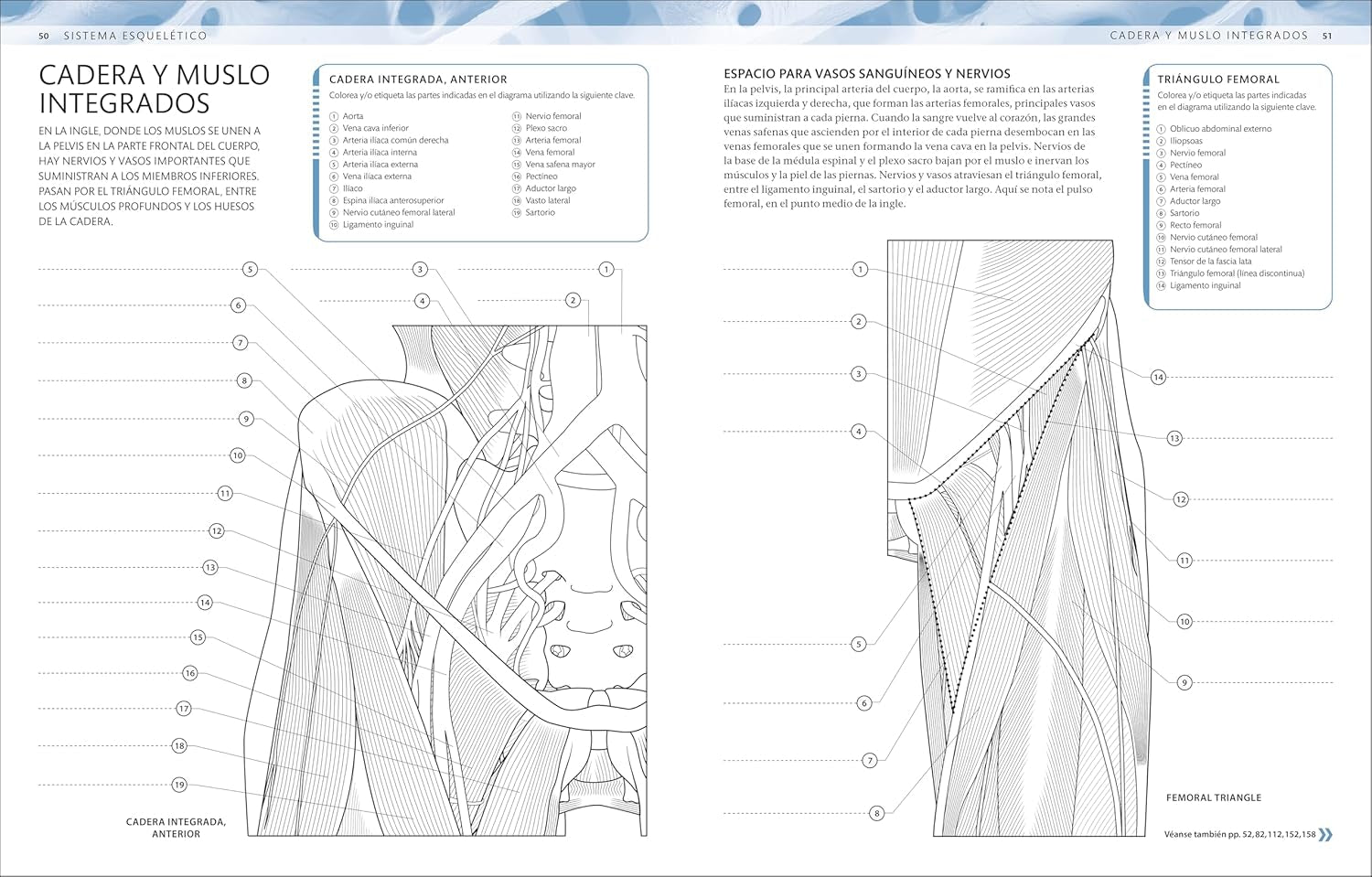Atlas De Anatomía Para Colorear (The Human Body Coloring Book): Guía De Estudio (Spanish Edition)