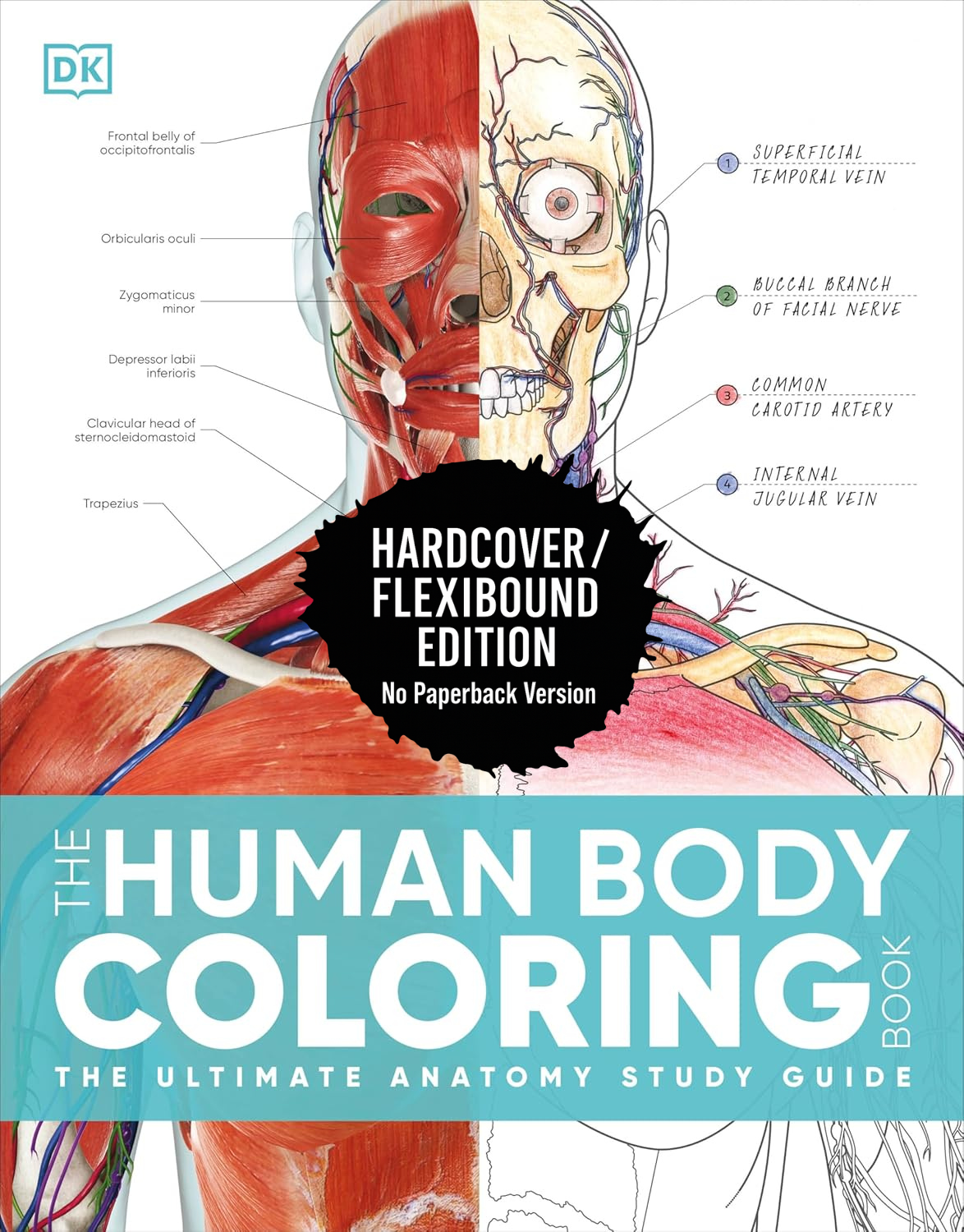 (Copy) Fast Shipping - The Human Body Coloring Book