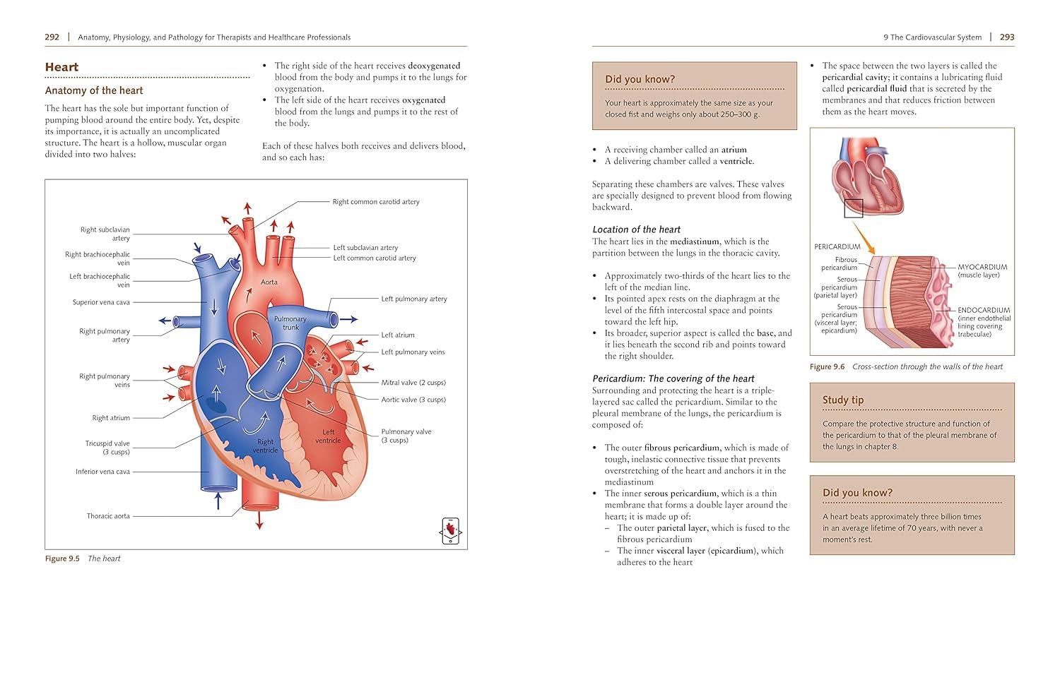 Anatomy, Physiology, and Pathology, Third Edition: a Practical, Illustrated Guide to the Human Body for Students and Practitioners--Clear and Accessible, with Study Tips and Full-Color Visual Aids