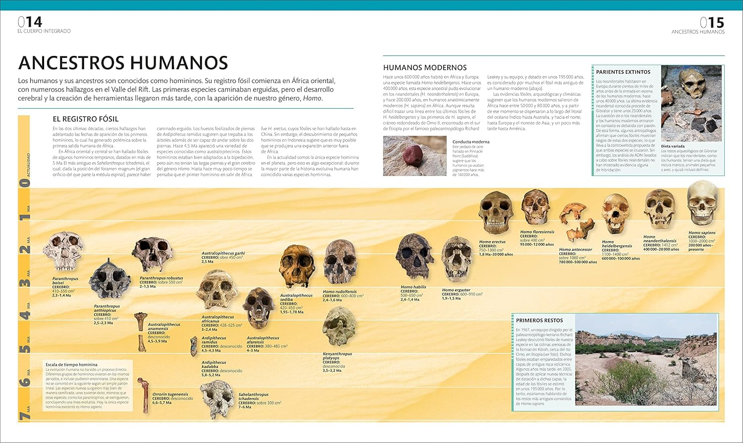 El Gran Libro Del Cuerpo Humano (The Complete Human Body) (Spanish Edition)