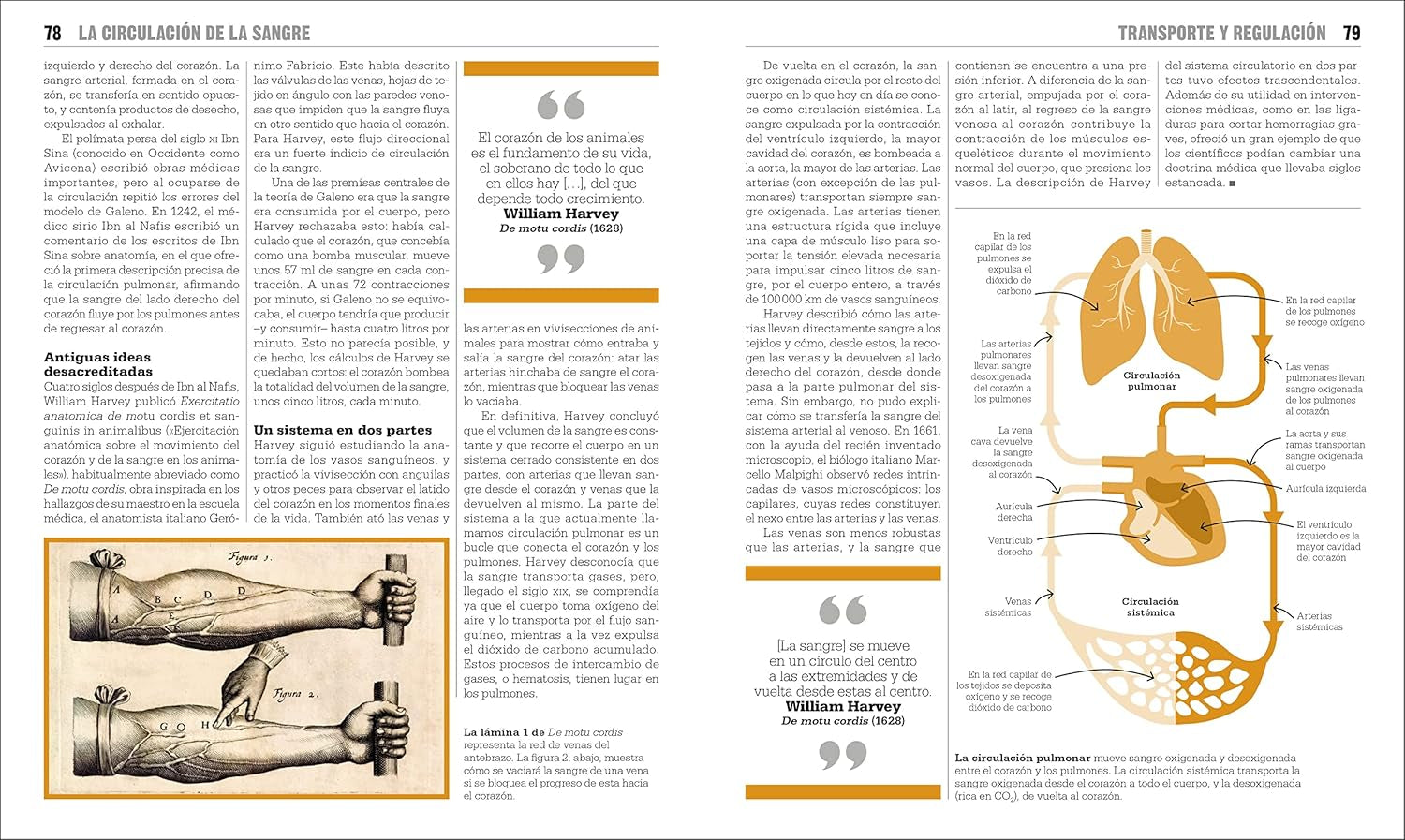 El Libro De La Biología (The Biology Book) (DK Big Ideas) (Spanish Edition)