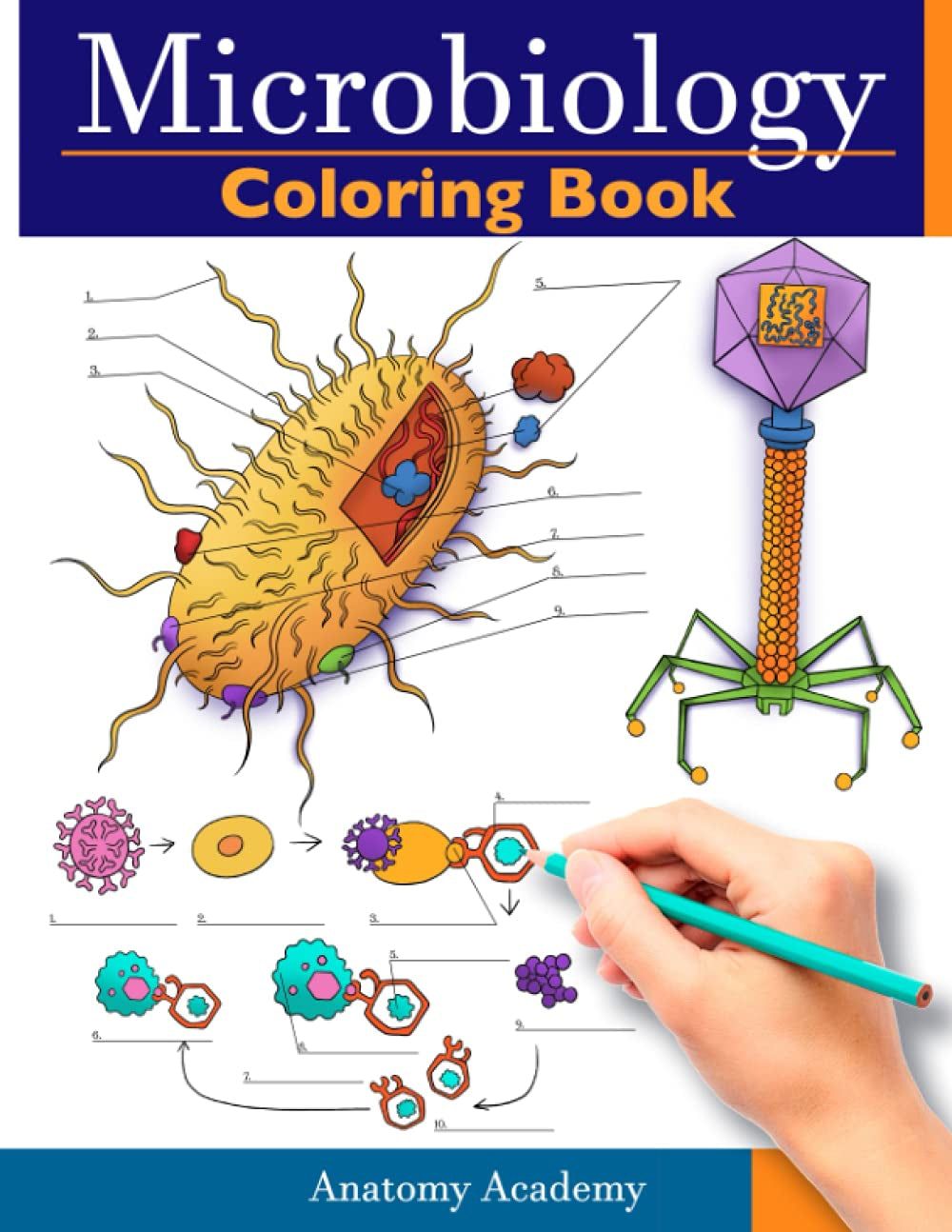 Microbiology Coloring Book: Incredibly Detailed Self-Test Color Workbook for Studying | Perfect Gift for Medical School Students, Physicians & Chiropractors