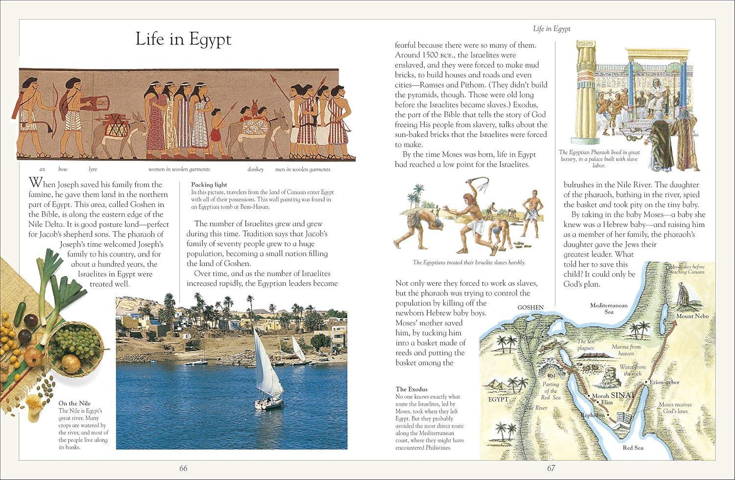 The Children'S Illustrated Jewish Bible (DK Bibles and Bible Guides)