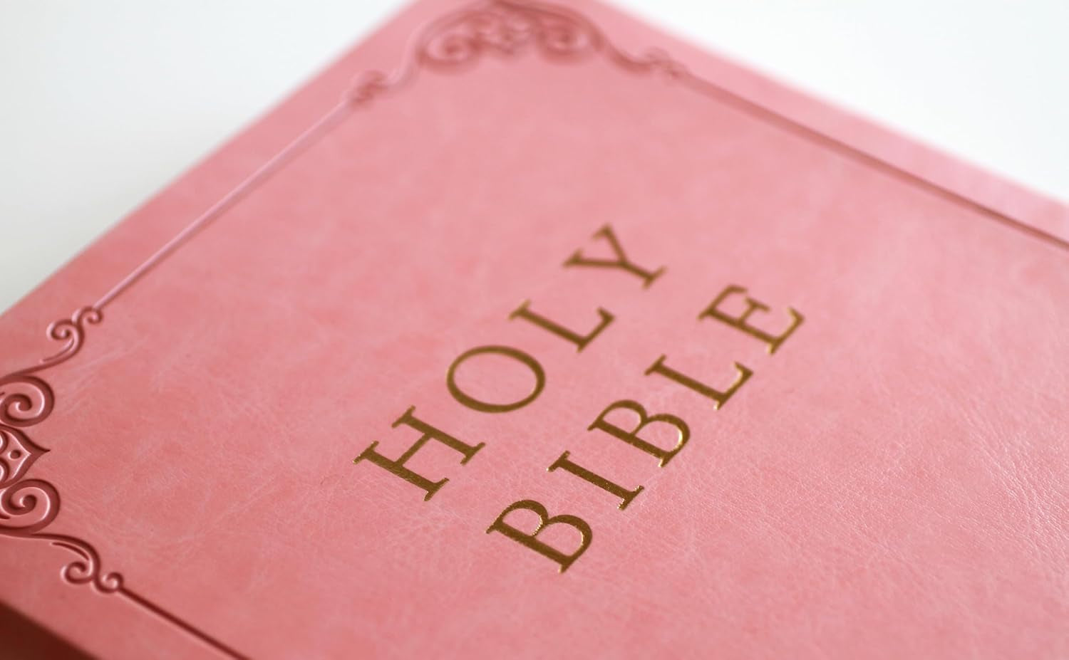 KJV Holy Bible, Giant Print Thinline Large Format, Pink Premium Imitation Leather with Ribbon Marker, Red Letter, and Thumb Index (KJV Large Size Giant Print Editions)