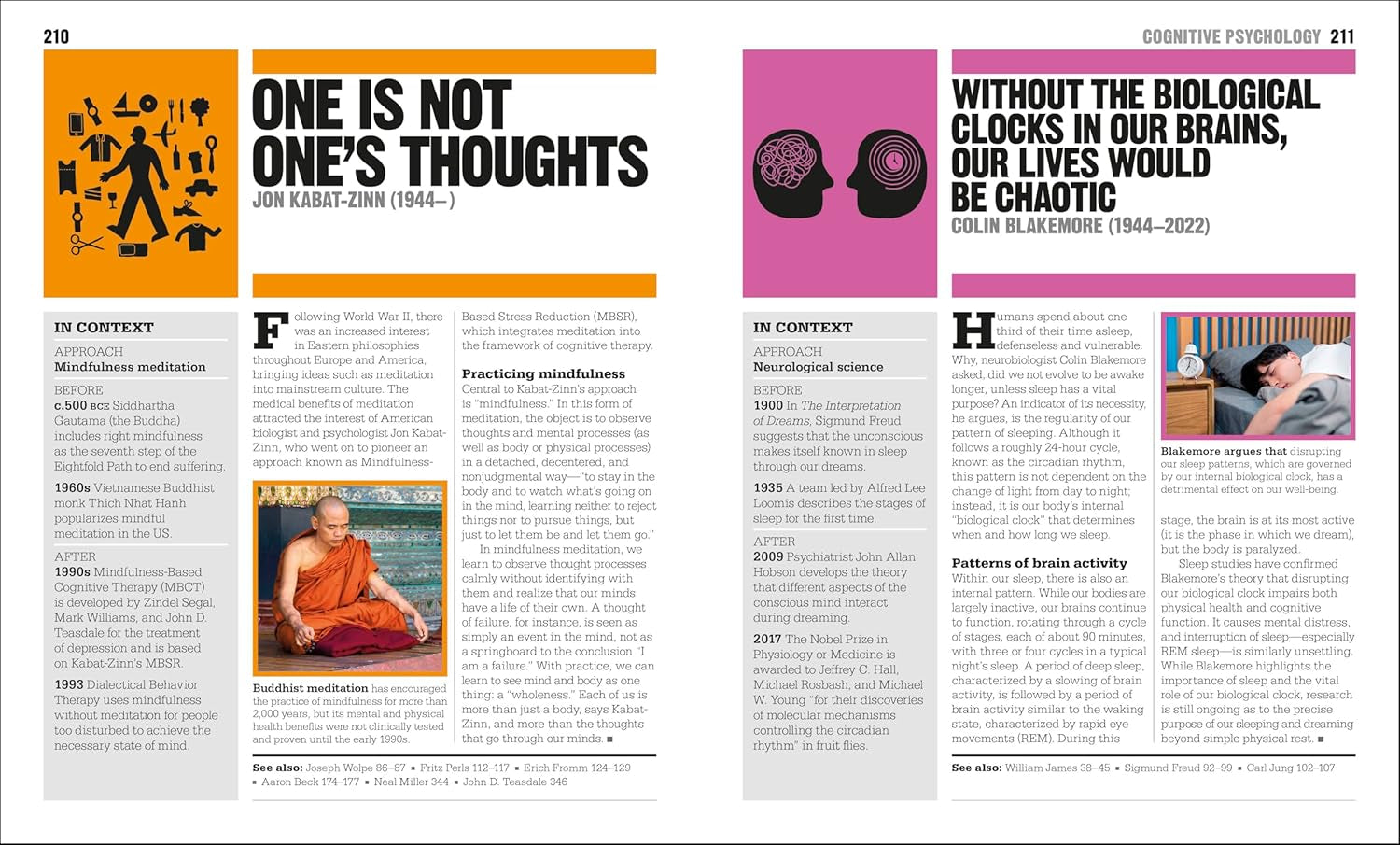 The Psychology Book: Big Ideas Simply Explained (DK Big Ideas)