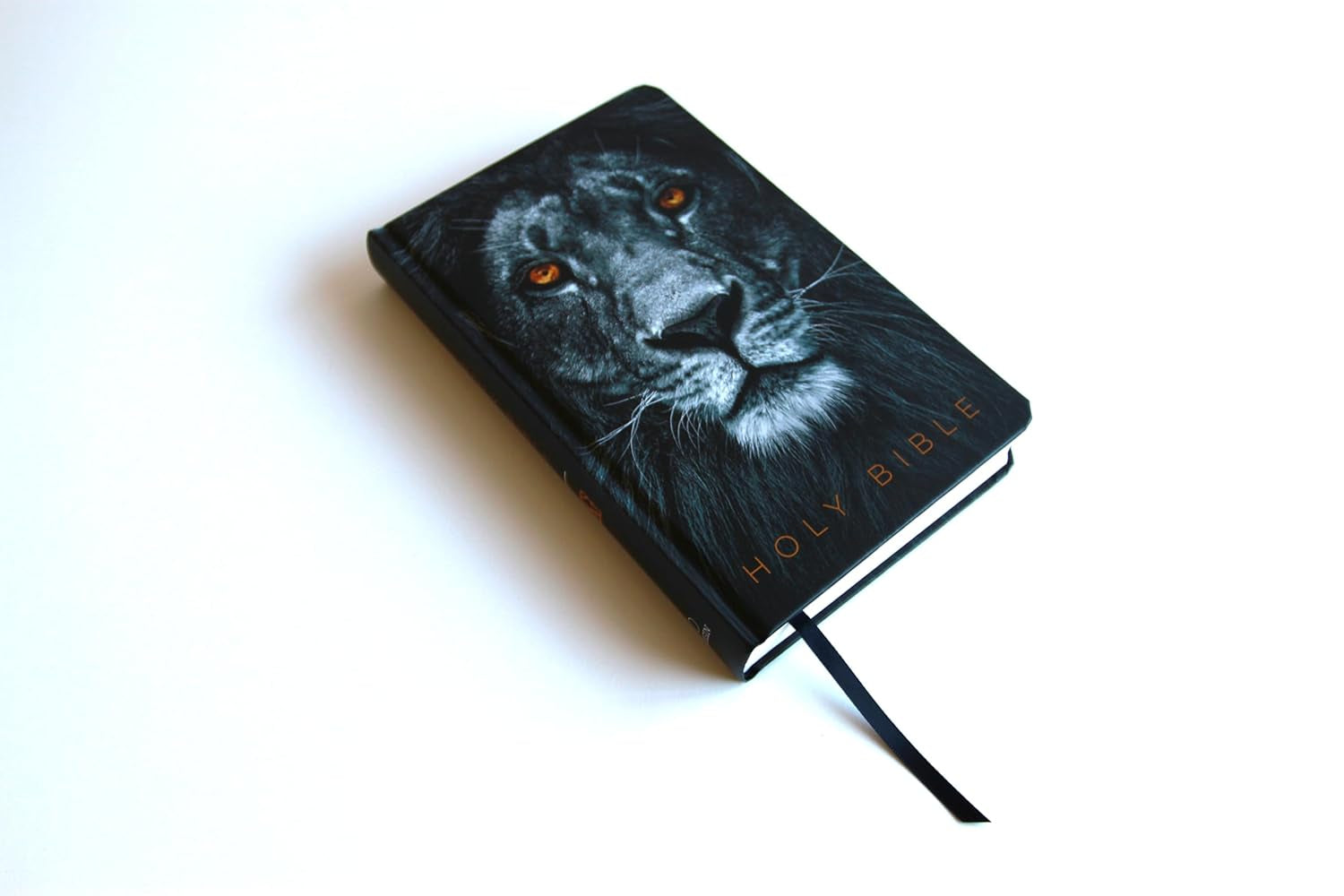 KJV Holy Bible, Large Print, Handy Size Format, Hardcover, Lion of Judah, Ribbon Marker, and Red Letter (KJV Medium Size Large Print Editions)