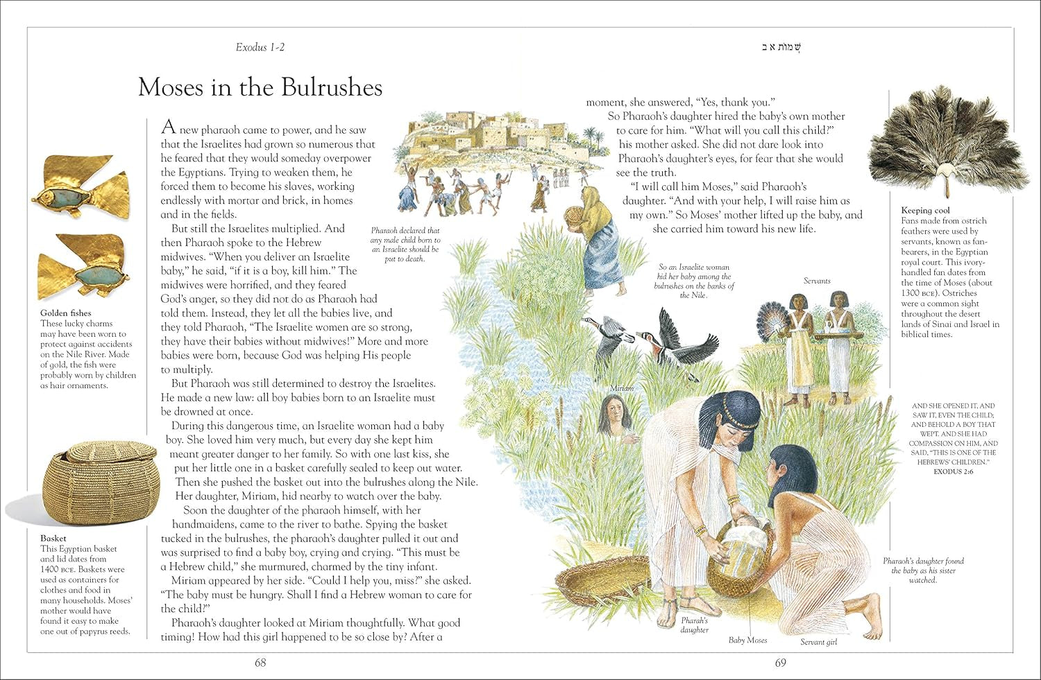 The Children'S Illustrated Jewish Bible (DK Bibles and Bible Guides)