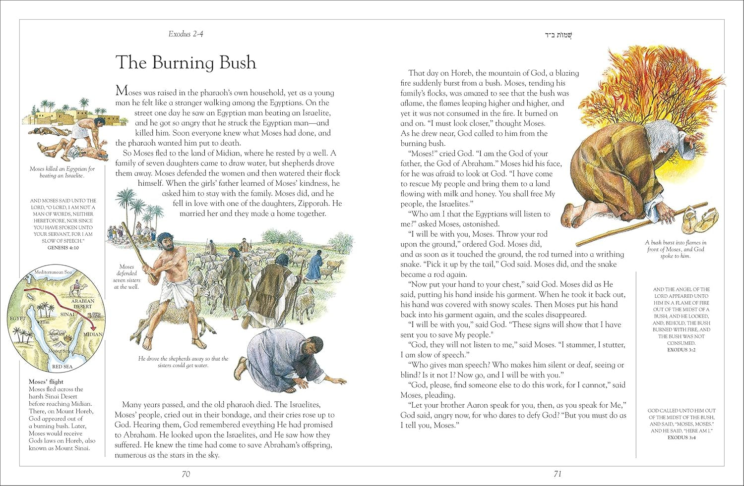 The Children'S Illustrated Jewish Bible (DK Bibles and Bible Guides)