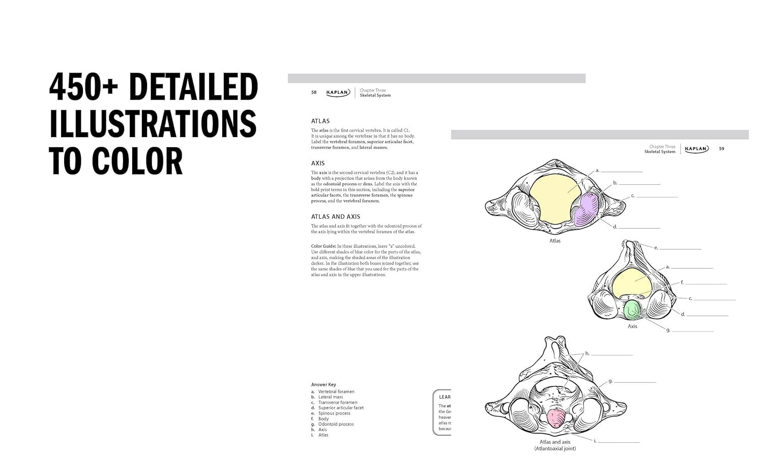 Anatomy Coloring Book with 450+ Realistic Medical Illustrations with Quizzes for Each (Kaplan Test Prep)