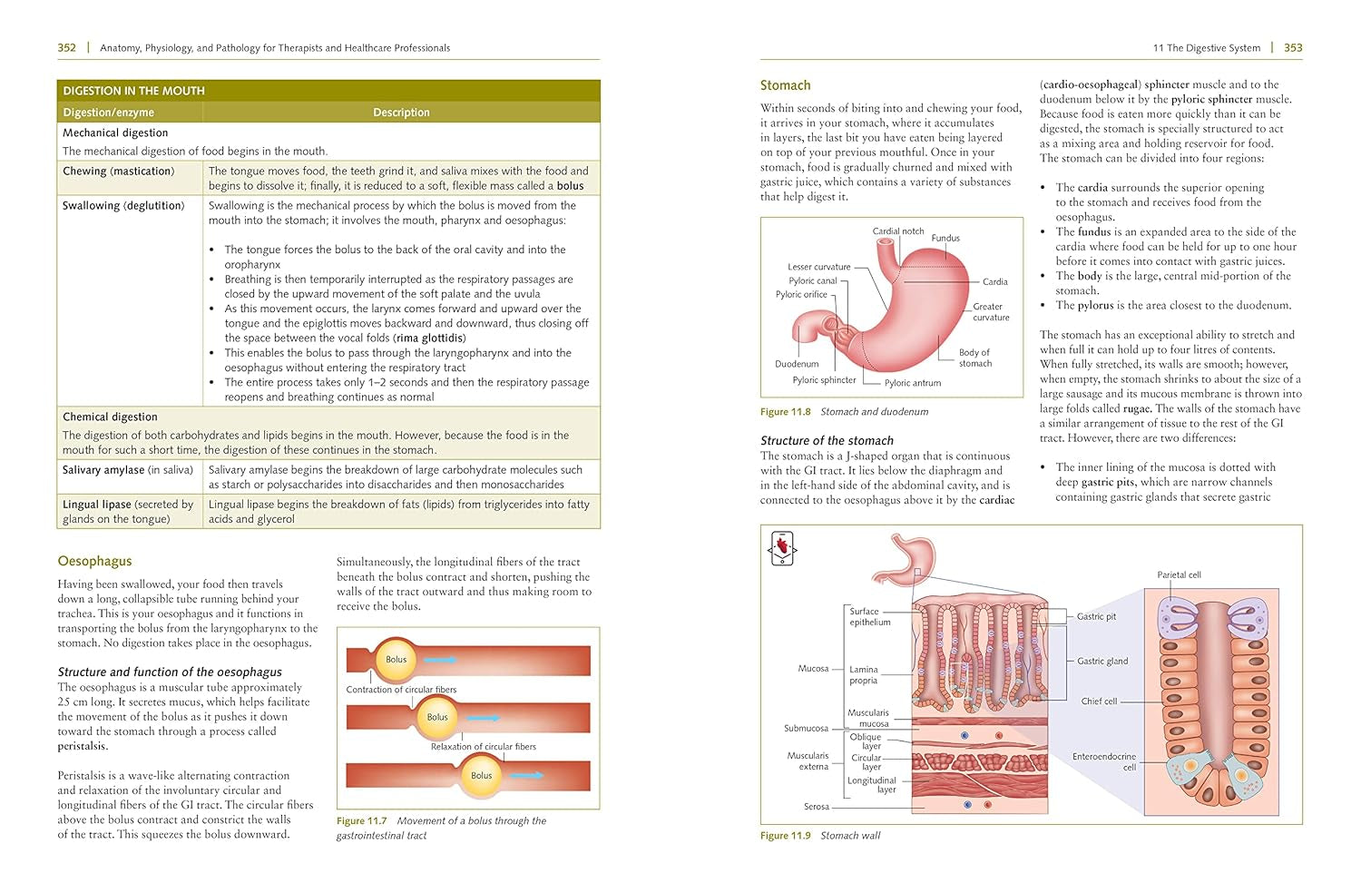 Anatomy, Physiology, and Pathology, Third Edition: a Practical, Illustrated Guide to the Human Body for Students and Practitioners--Clear and Accessible, with Study Tips and Full-Color Visual Aids