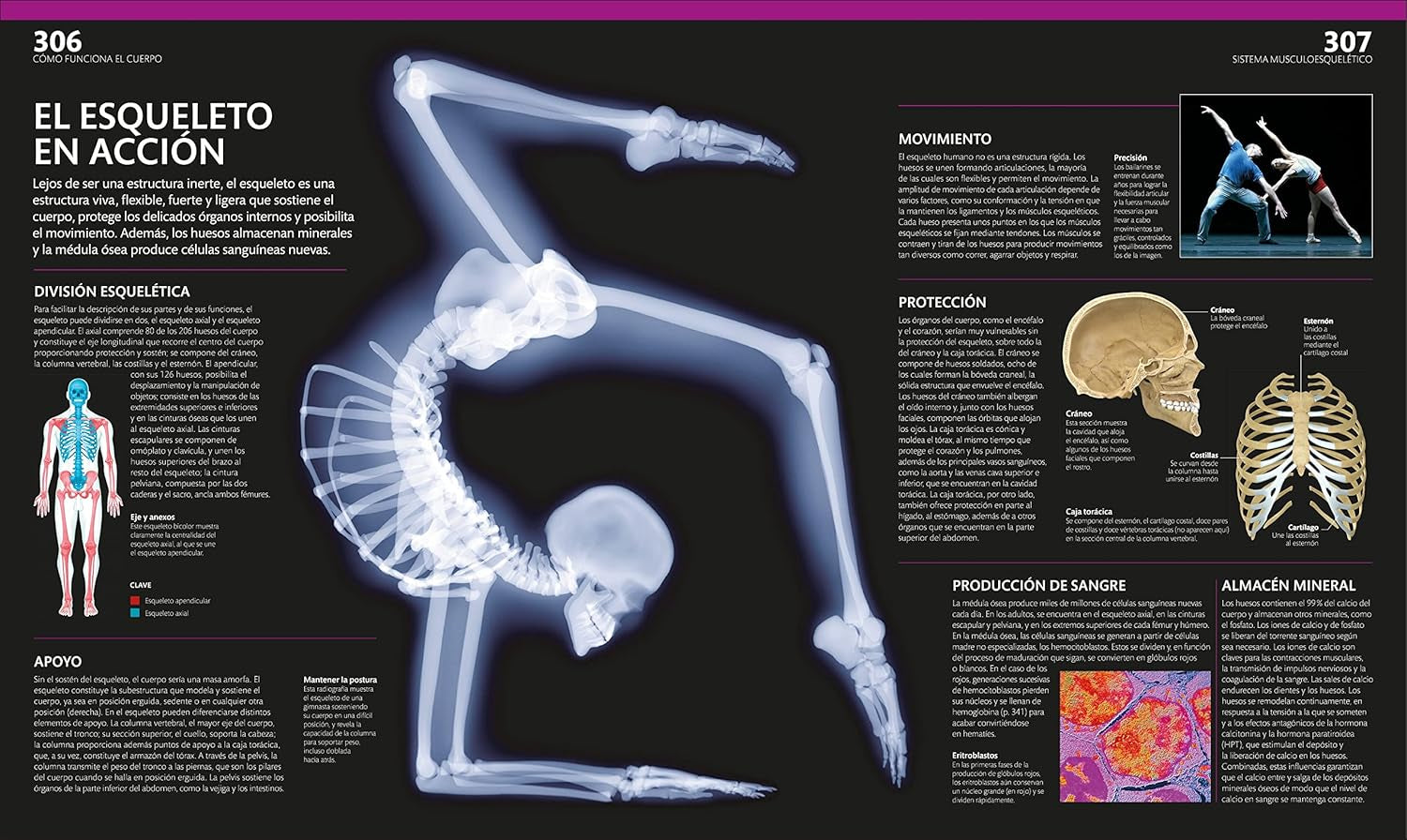 El Gran Libro Del Cuerpo Humano (The Complete Human Body) (Spanish Edition)