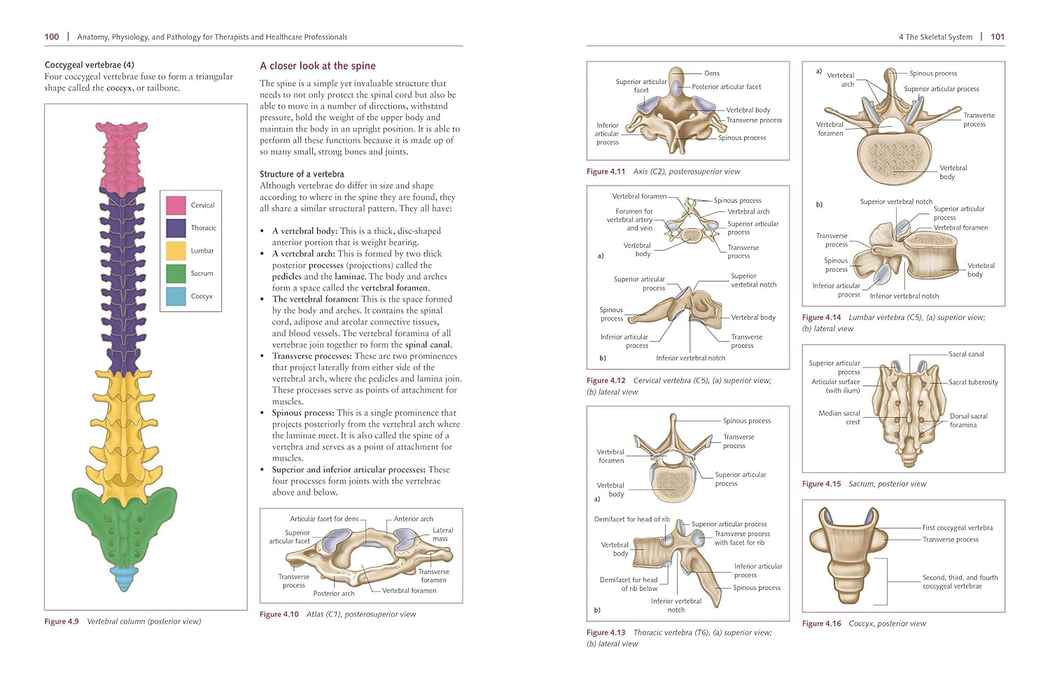 Anatomy, Physiology, and Pathology, Third Edition: a Practical, Illustrated Guide to the Human Body for Students and Practitioners--Clear and Accessible, with Study Tips and Full-Color Visual Aids