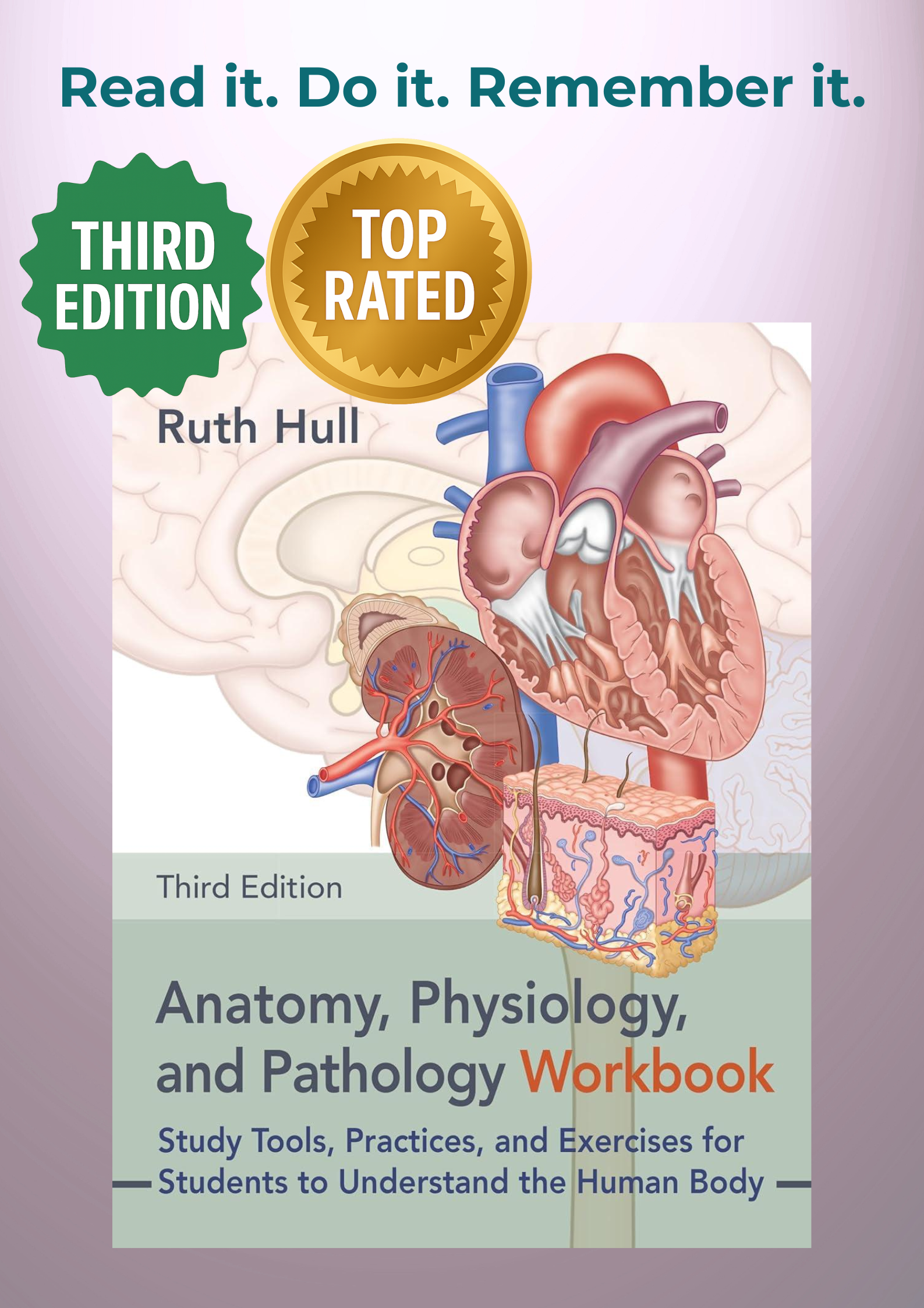 Anatomy, Physiology, and Pathology Workbook, Third Edition: Study Tools, Practices, and Exercises for Students to Understand the Human Body