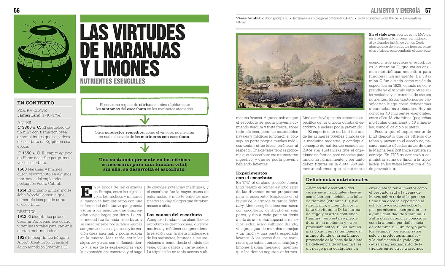 El Libro De La Biología (The Biology Book) (DK Big Ideas) (Spanish Edition)