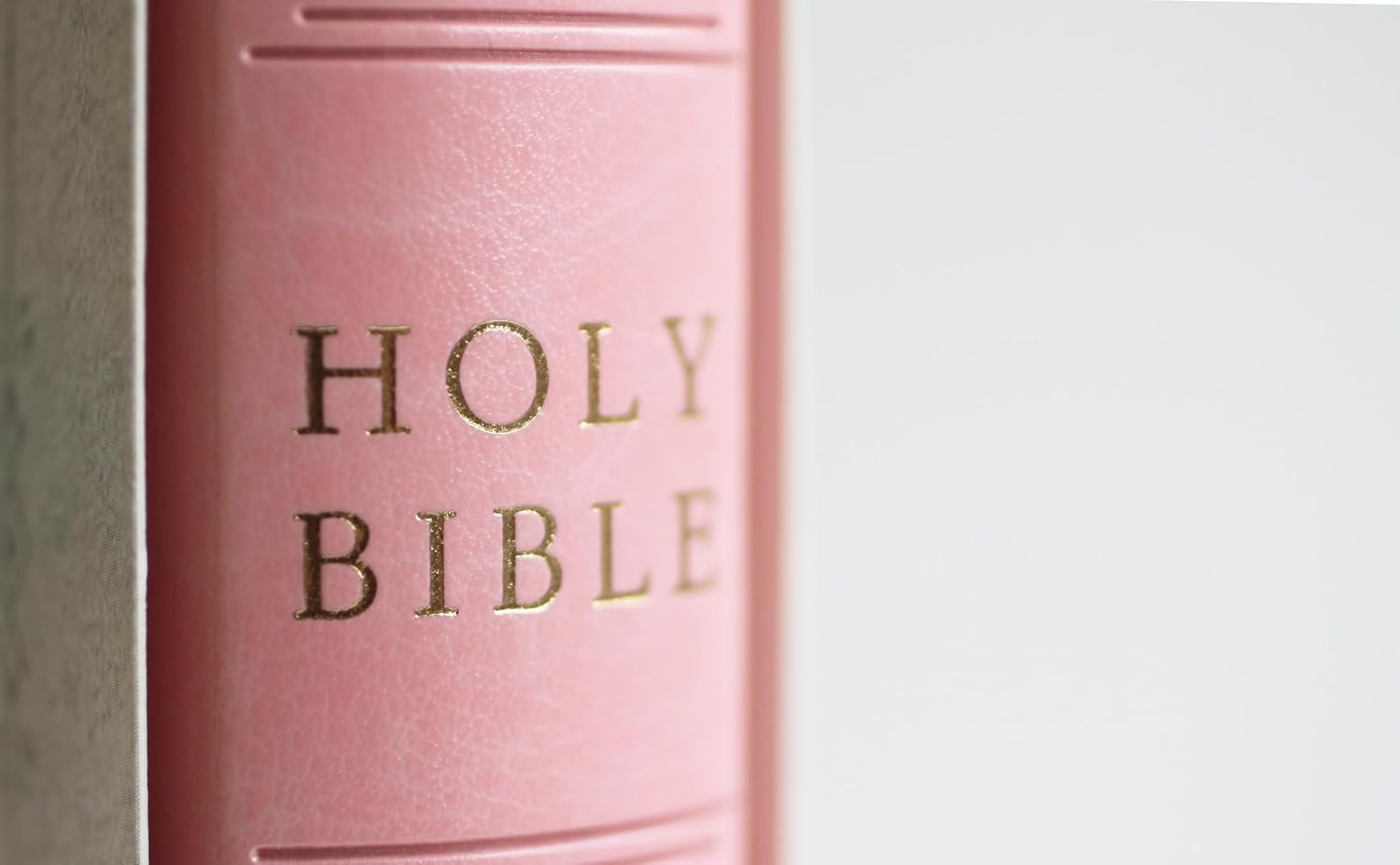 KJV Holy Bible, Giant Print Thinline Large Format, Pink Premium Imitation Leather with Ribbon Marker, Red Letter, and Thumb Index (KJV Large Size Giant Print Editions)