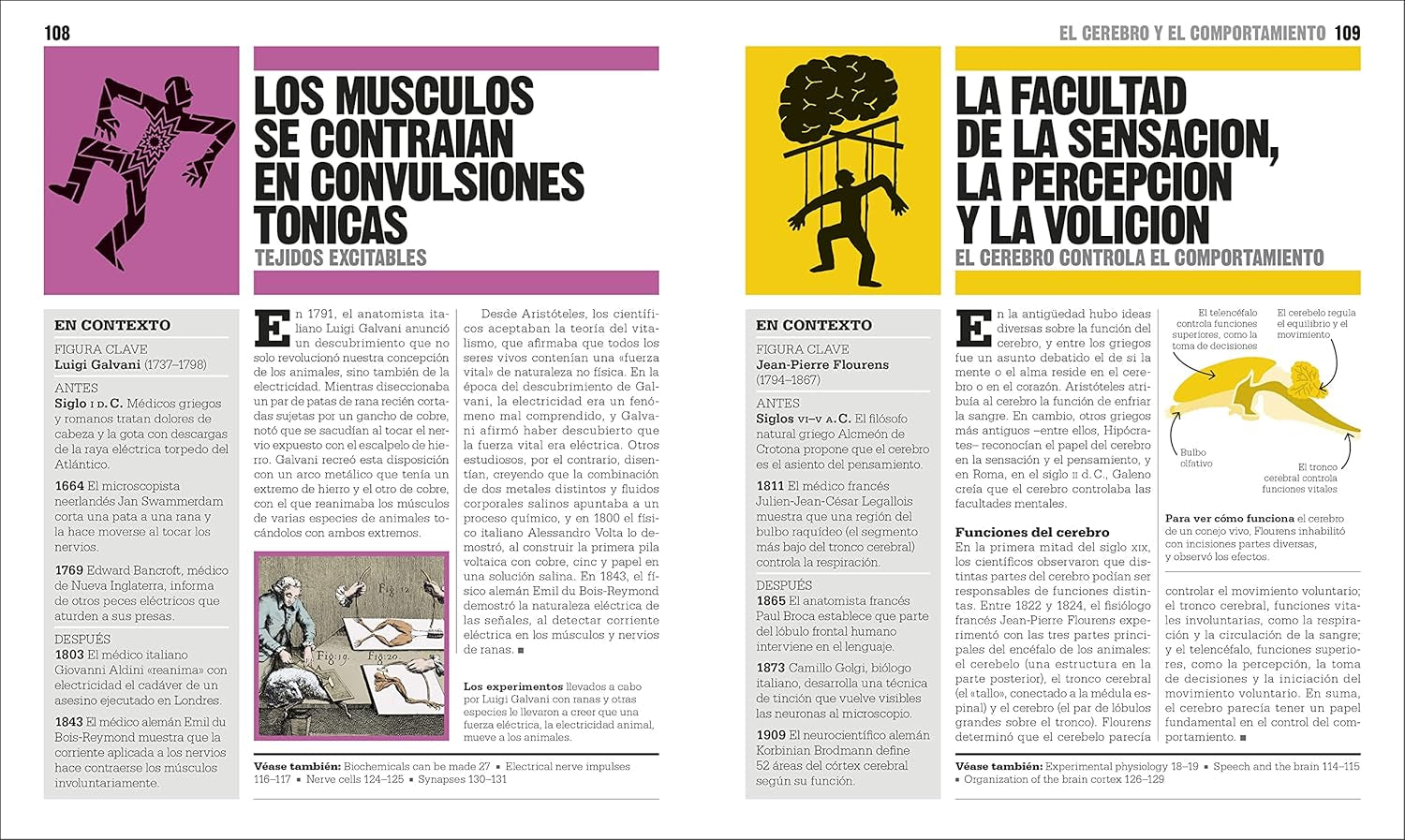 El Libro De La Biología (The Biology Book) (DK Big Ideas) (Spanish Edition)