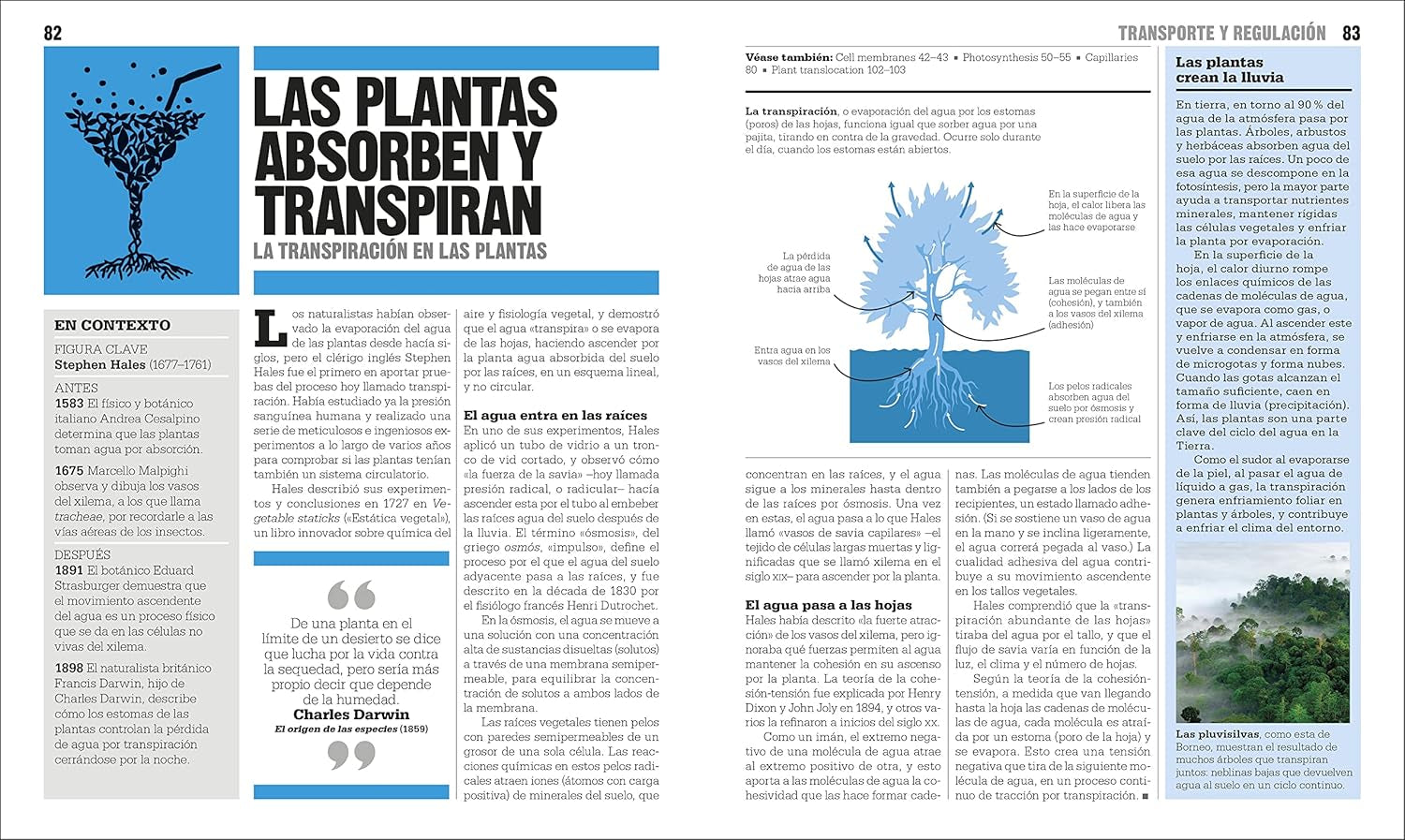 El Libro De La Biología (The Biology Book) (DK Big Ideas) (Spanish Edition)