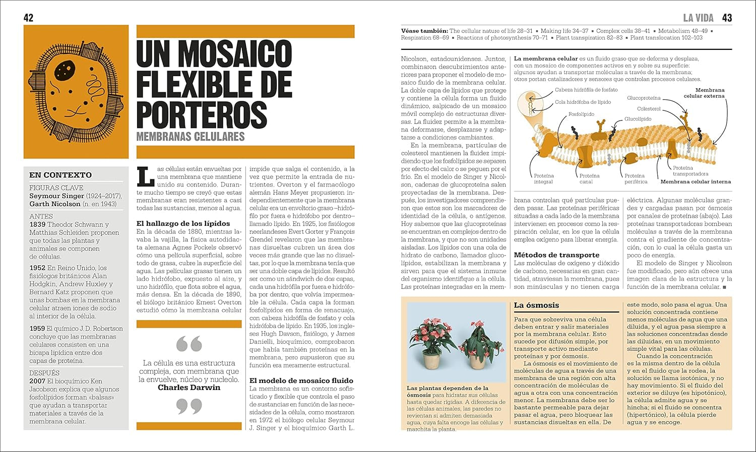 El Libro De La Biología (The Biology Book) (DK Big Ideas) (Spanish Edition)