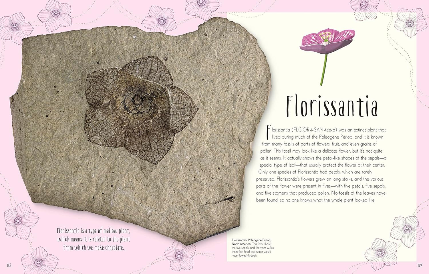 Children'S Anthologies Collection: 3-Book Box Set for Kids Ages 6-8, Featuring 300+ Animal, Dinosaur, and Space Topics (DK Children'S Anthologies)