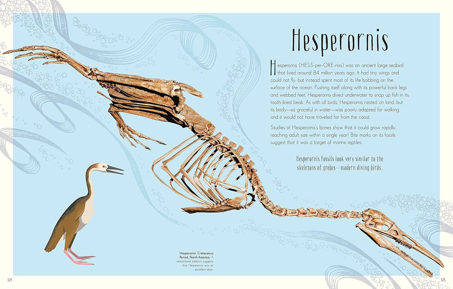 Children'S Anthologies Collection: 3-Book Box Set for Kids Ages 6-8, Featuring 300+ Animal, Dinosaur, and Space Topics (DK Children'S Anthologies)