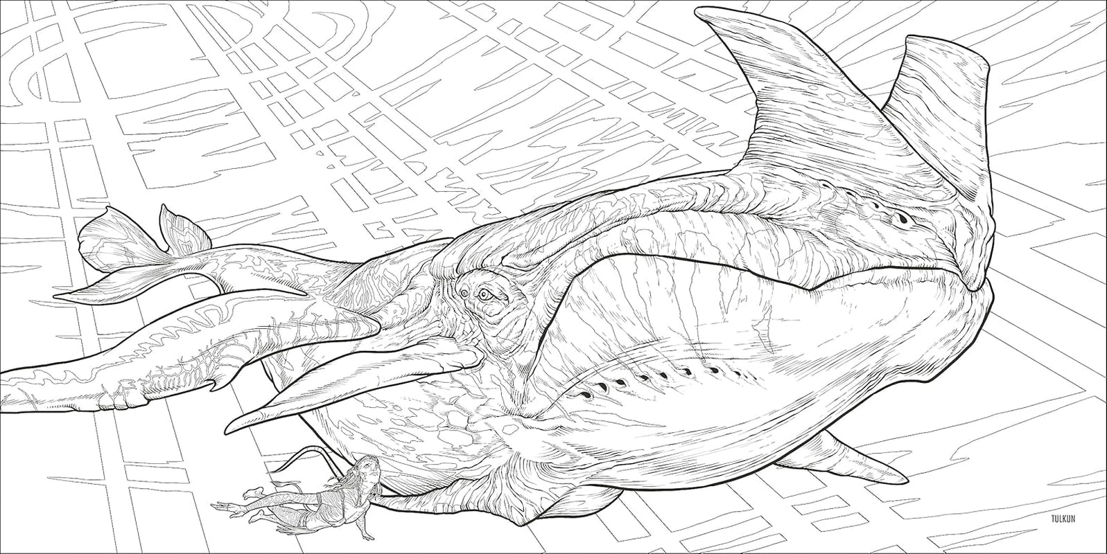 Avatar Coloring Book