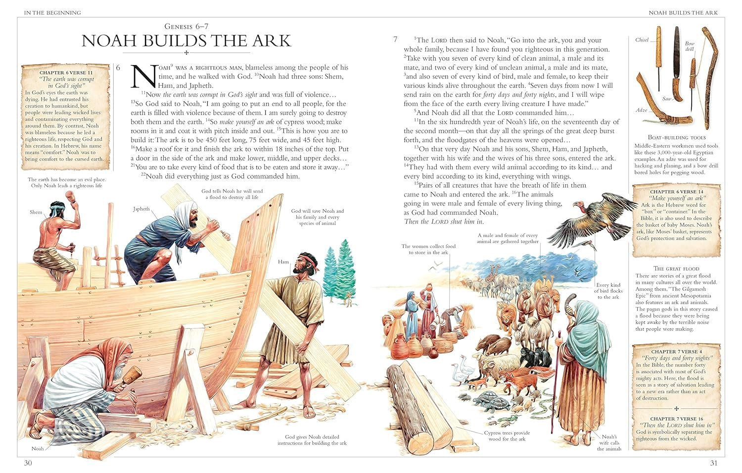 Illustrated Family Bible: Understanding the Greatest Story Ever Told (DK Bibles and Bible Guides)