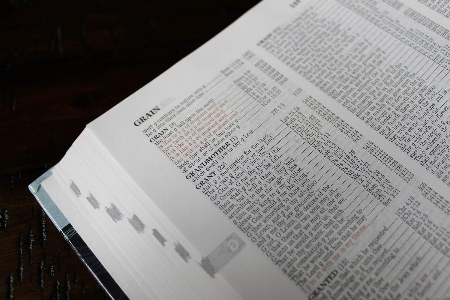 The New Strong'S Expanded Exhaustive Concordance of the Bible: Every Word of the Bible Indexed, Red Letter Edition