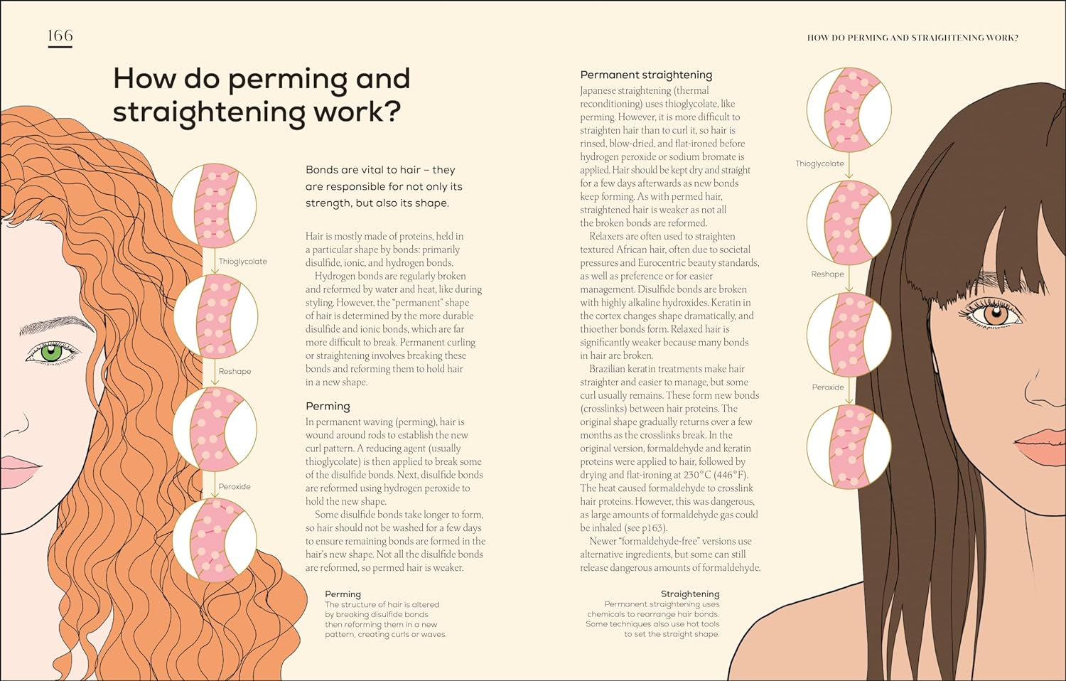The Science of Beauty: Debunk the Myths and Discover What Goes into Your Beauty Routine (DK Science Of)