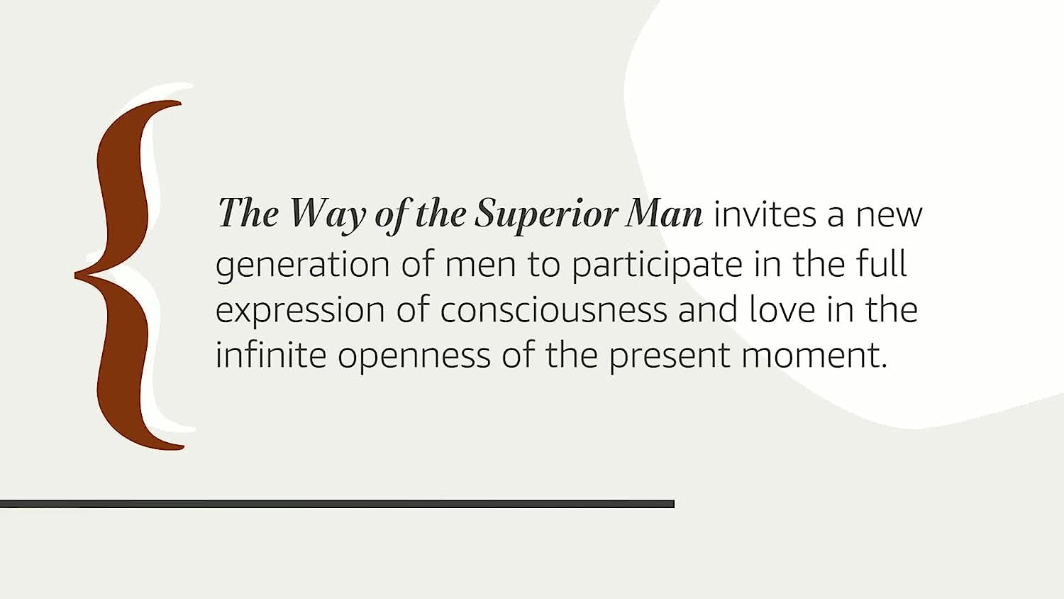 The Way of the Superior Man: a Spiritual Guide to Mastering the Challenges of Women, Work, and Sexual Desire (20Th Anniversary Edition)