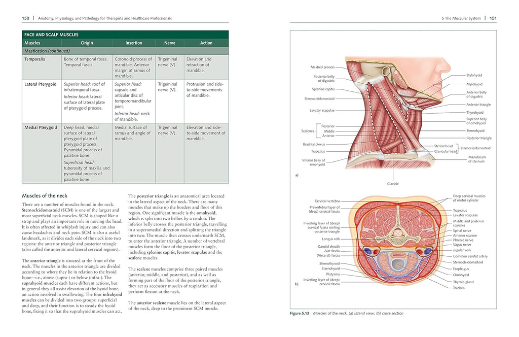 Anatomy, Physiology, and Pathology, Third Edition: a Practical, Illustrated Guide to the Human Body for Students and Practitioners--Clear and Accessible, with Study Tips and Full-Color Visual Aids