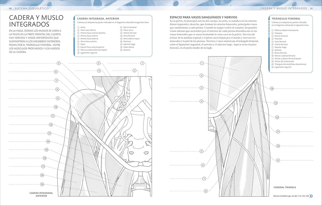 Atlas De Anatomía Para Colorear (The Human Body Coloring Book): Guía De Estudio (Spanish Edition)