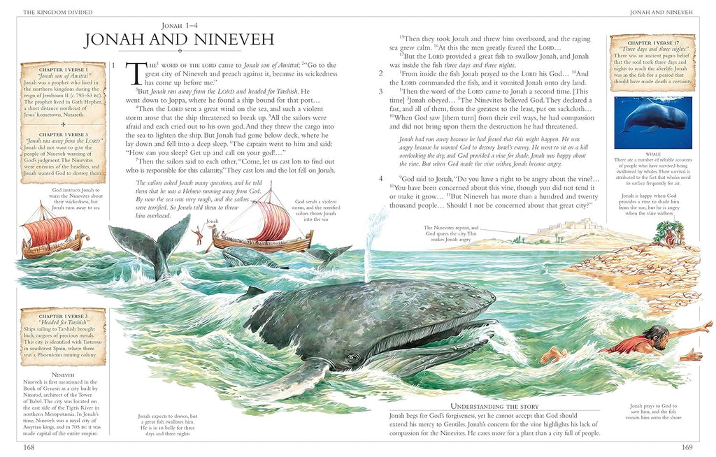 Illustrated Family Bible: Understanding the Greatest Story Ever Told (DK Bibles and Bible Guides)
