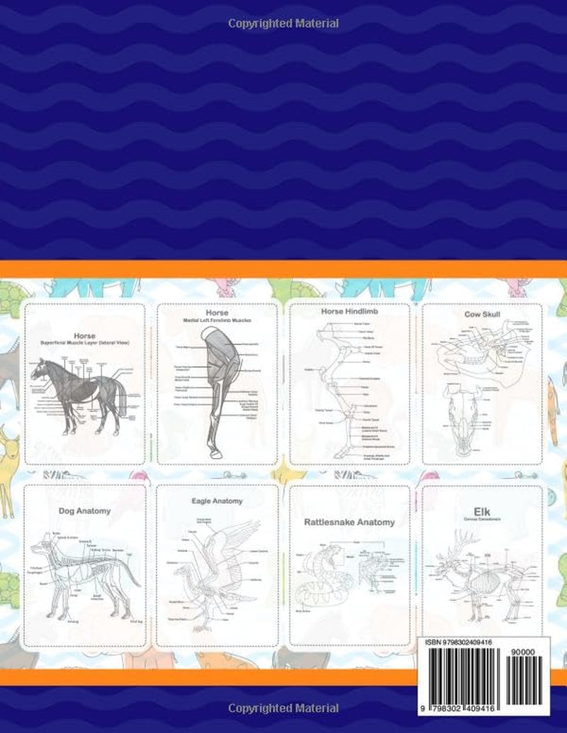 Veterinary Anatomy Coloring Book: It Provides Detailed Information on the Bones and Muscles Anatomy of Dog, Cat and Horse. It Also Provides the Anatomy of Many Other Animals.