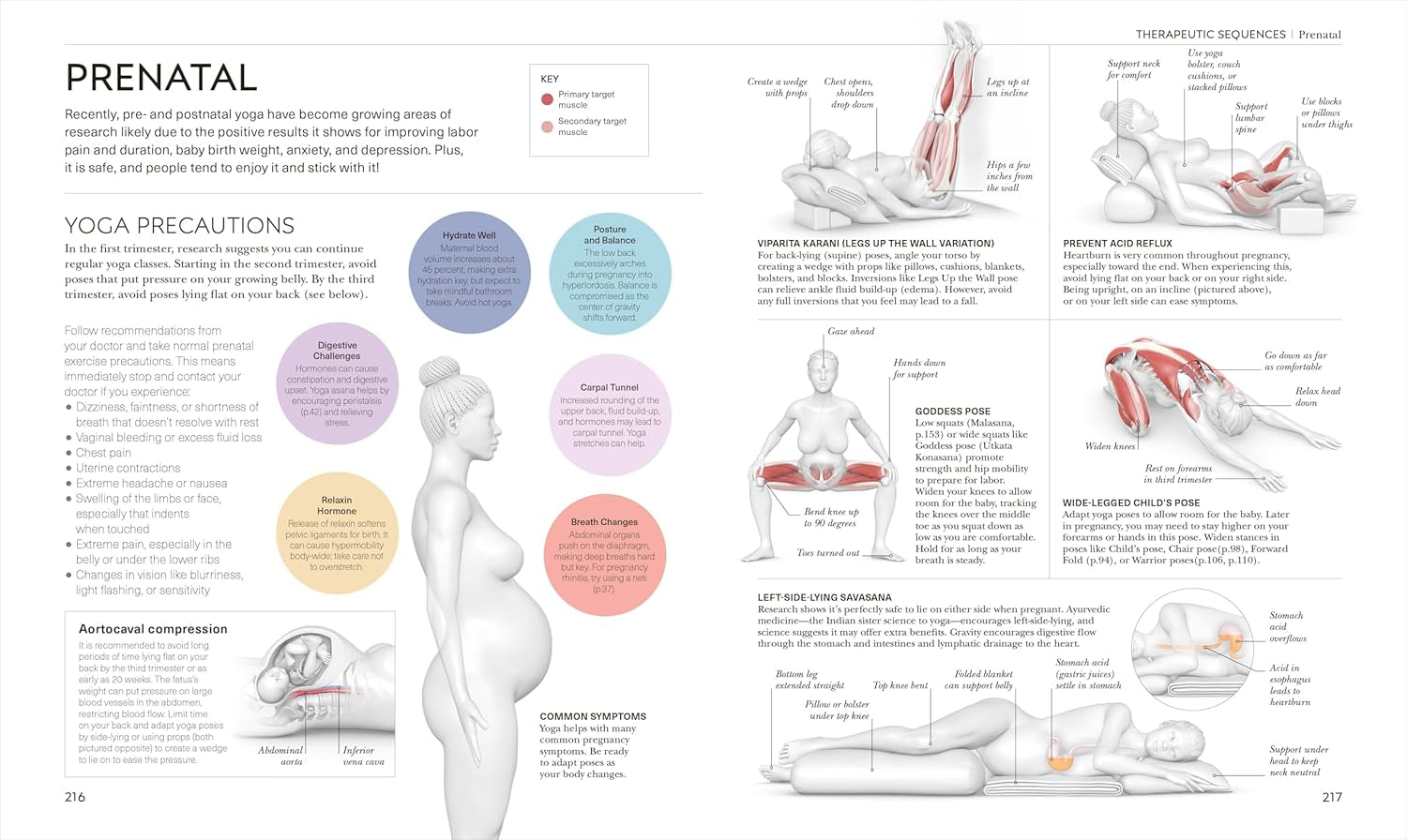 Science of Yoga: Understand the Anatomy and Physiology to Perfect Your Practice (DK Science Of)