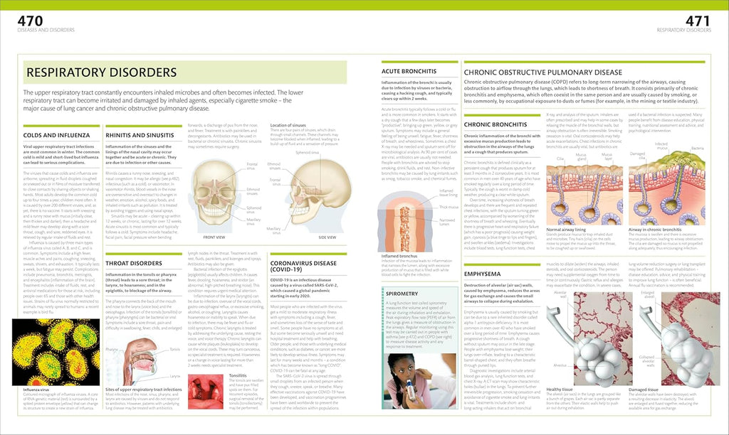 The Complete Human Body: the Definitive Visual Guide (DK Human Body Guides)
