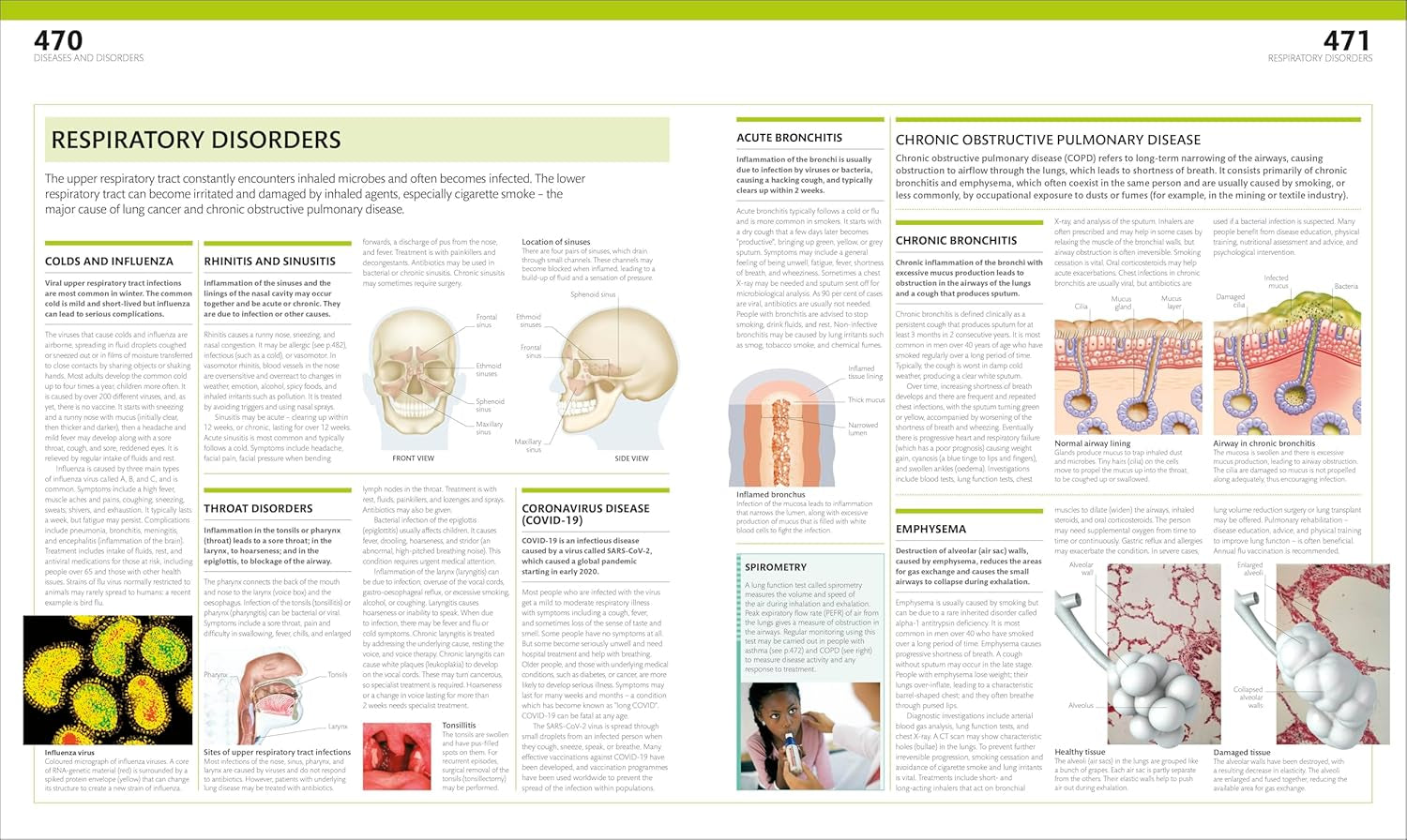 The Complete Human Body: the Definitive Visual Guide (DK Human Body Guides)