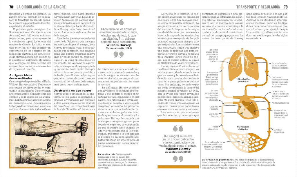 El Libro De La Biología (The Biology Book) (DK Big Ideas) (Spanish Edition)