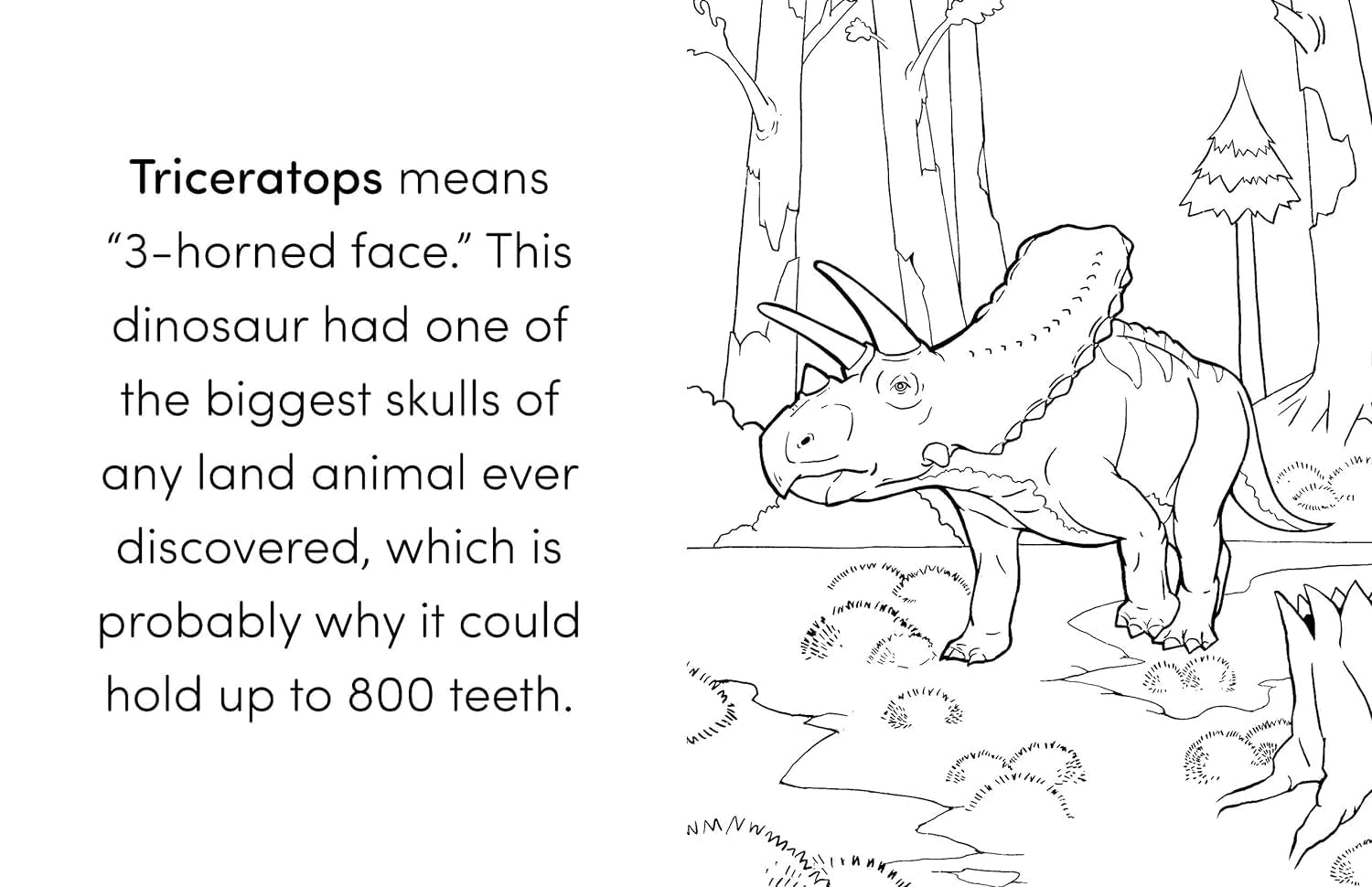 Coloring Book Box Set: 3 Books for Coloring Fun and Awesome Facts about Dinosaurs,Bugs,And Wild Animals(Perfect Gift for Kids Ages 3-7) (A Did You Know? Coloring Book)