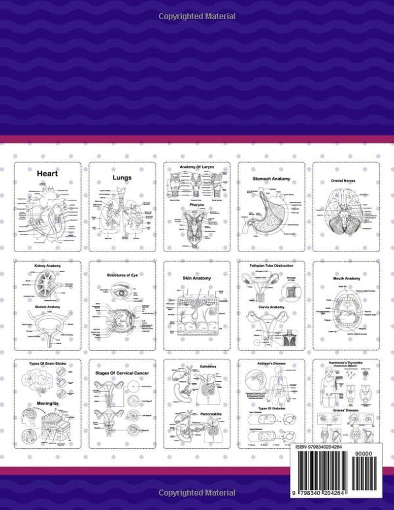 Human Organs Anatomy Coloring Book: It Will Be Great for Learning Human Body Organs Anatomy Easily. It Contains Brain, Eye, Ear, Nose, Mouth, Tongue, ... Heart, Kidney, Skin, Intestine and Many More.