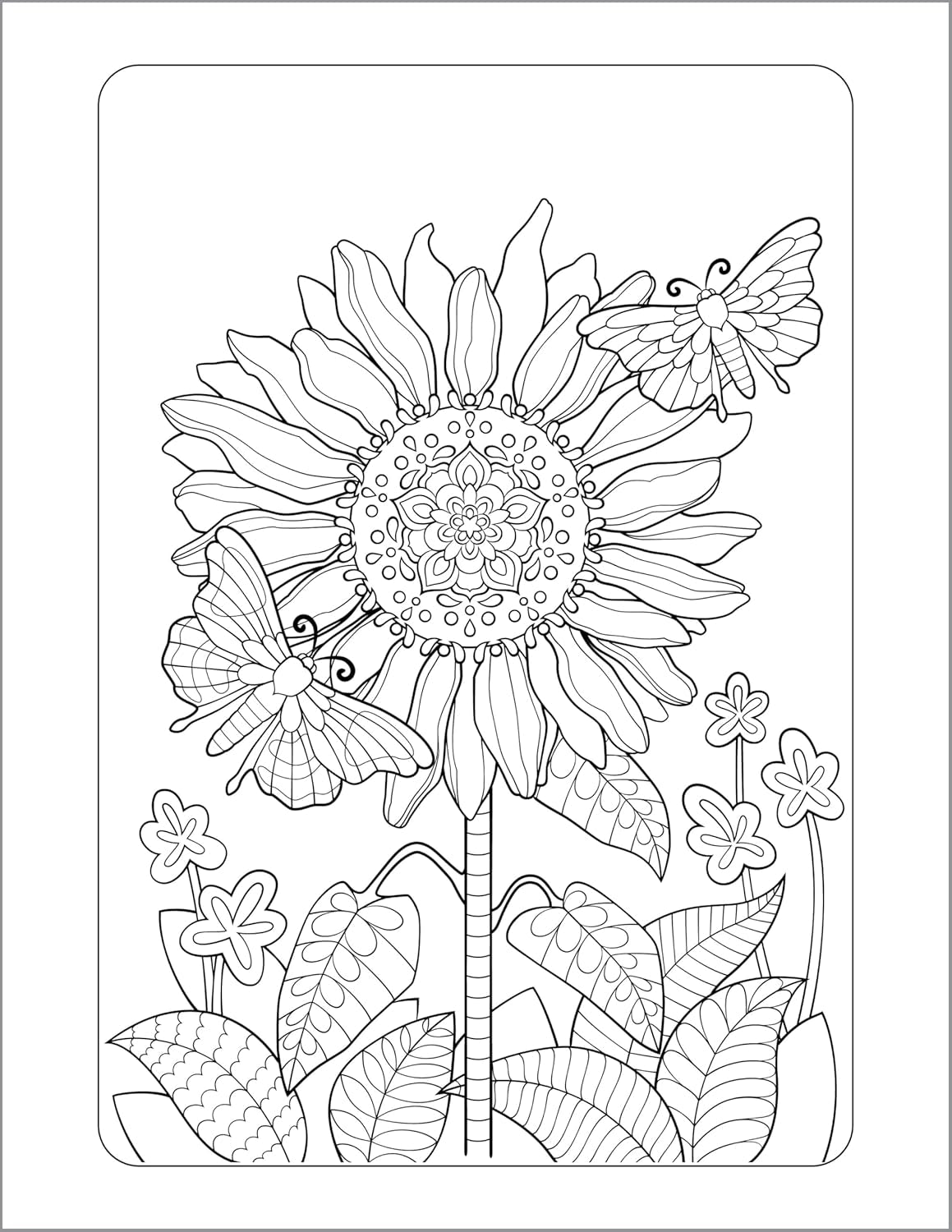 Anxiety Relief Coloring Book for Adults: Mindfulness Coloring to Soothe Anxiety