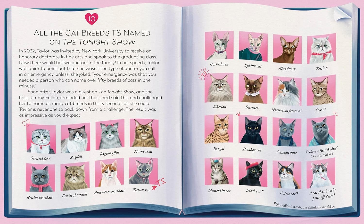 Karma Is a Cat: the True Stories of Meredith Grey, Olivia Benson, and Benjamin Button Swift