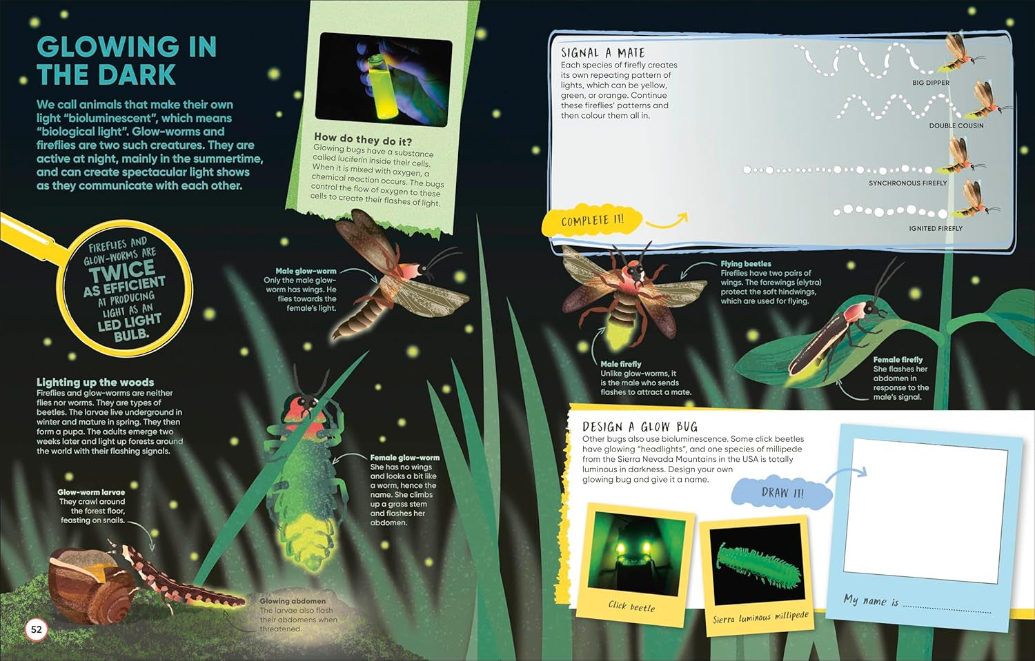 Brain Booster Bugs: over 100 Brain-Boosting Activities That Make Learning Easy and Fun (DK Brain Booster)