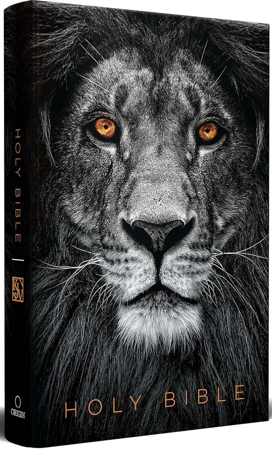 KJV Holy Bible, Large Print, Handy Size Format, Hardcover, Lion of Judah, Ribbon Marker, and Red Letter (KJV Medium Size Large Print Editions)