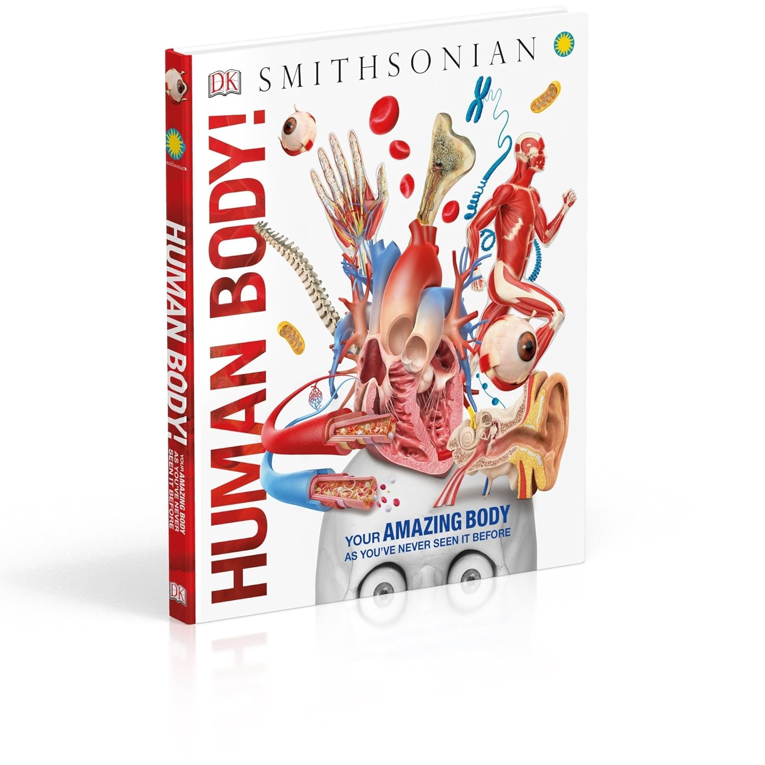 Human Body Book for Kids and Adults – Fun and Educational Anatomy Guide with Full-Color Diagrams