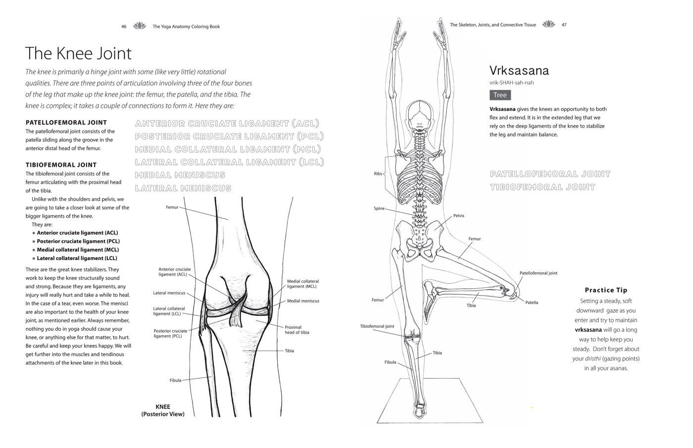 Yoga Anatomy Coloring Book: a Visual Guide to Form, Function, and Movement - an Educational Anatomy Coloring Book for Medical Students, Yoga ... & Adults (Volume 1) (Anatomy Coloring Books)