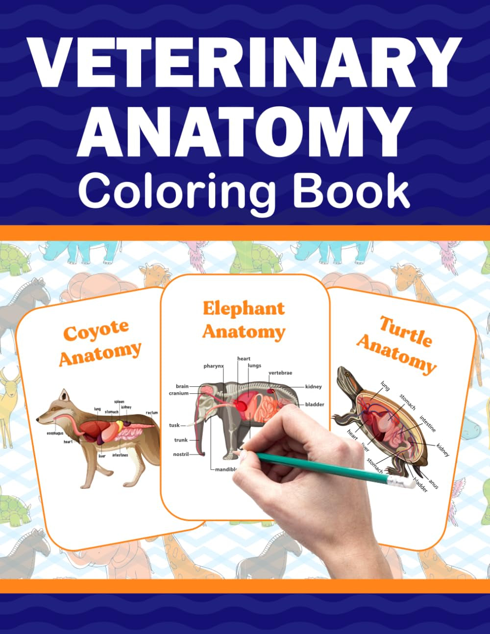 Veterinary Anatomy Coloring Book: It Provides Detailed Information on the Bones and Muscles Anatomy of Dog, Cat and Horse. It Also Provides the Anatomy of Many Other Animals.